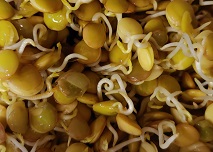 Sprouted lentils with&nbsp;coconut